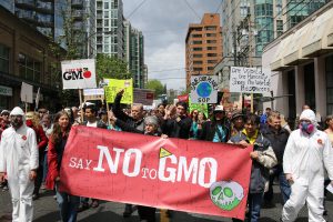 Kanaďané sice proti GMO protestují (na snímku pochod proti společnosti Monsanto ve Vancouveru), ale není jim to nic platné - jejich vláda povolila jak geneticky modifikovaného lososa, tak brambory... Foto Wikimedia Commons