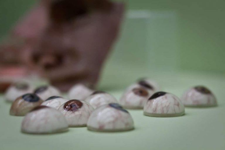 Biotiskárny umí tisknout živé nosy i játra. Budou tisknout i nové lidi?