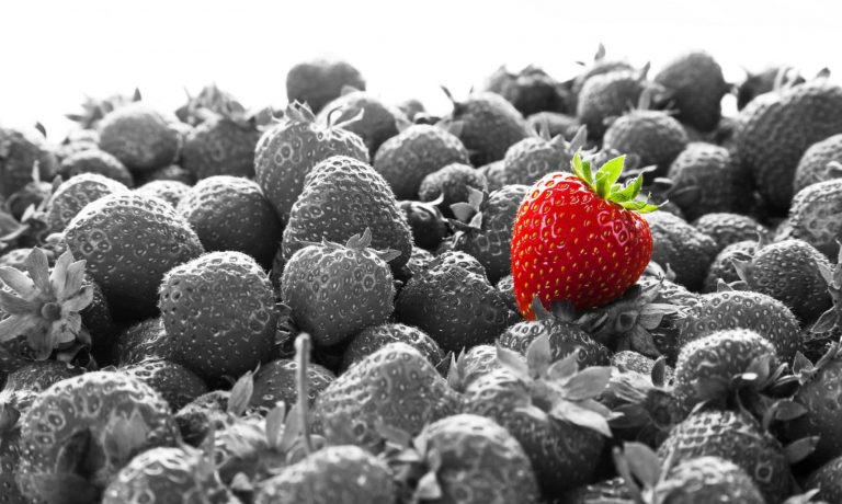 Podpořte Šifru aneb To, co dáte, se vám vrátí