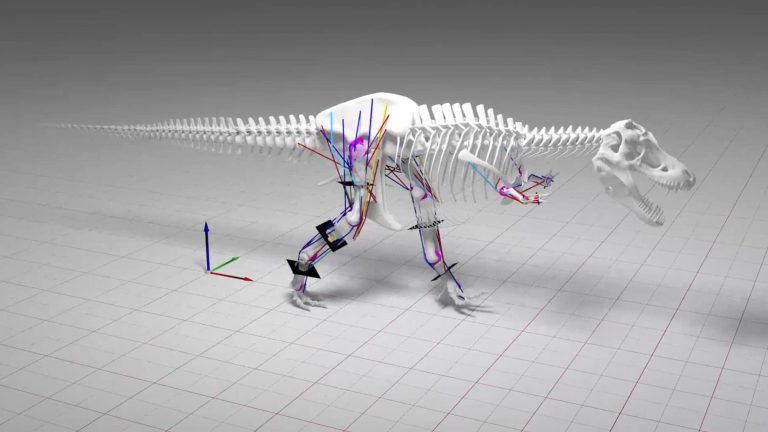 Legendární Tyrannosaurus rex nebyl podle nové studie rychlý lovec, ale líný chodec a mrchožrout