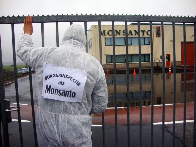 Firma Monsanto si zřejmě psala „nezávislé studie“ o glyfosátu sama