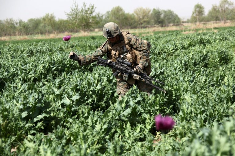 Je válka v Afghánistánu jen ochrana vzkvétajícího obchodu s opiem? Čísla i fakta tomu nasvědčují