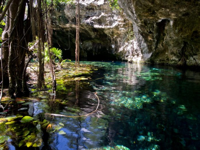 Gran Cenote. Wikimedia Commons