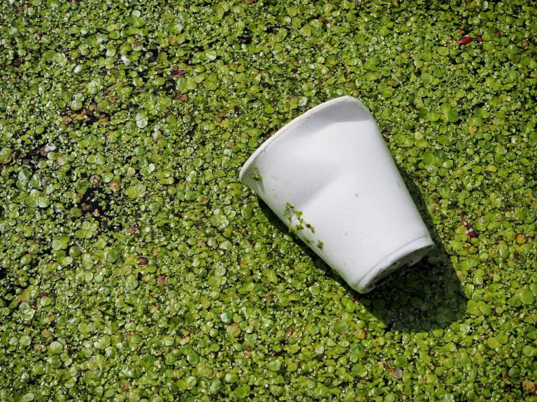 Kolosální podvod? Bioplasty se podle výzkumu v přírodě vůbec nerozkládají. Navíc se z nich uvolňují ftaláty a jiné chemikálie