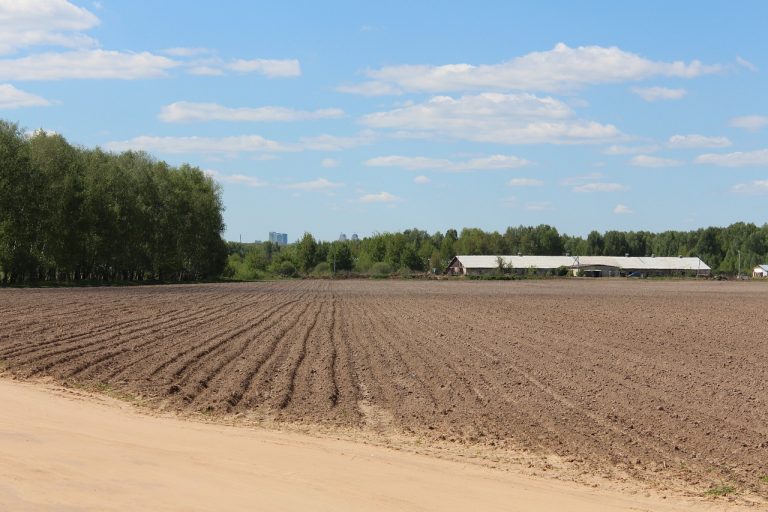 Česká půda je plná pesticidů. Včetně 10 let zakázaných toxických látek