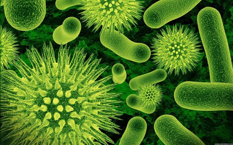 Jak vzniklo lidské vědomí? Podle vědců za to může prastarý virus