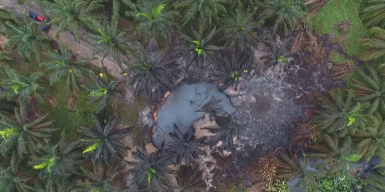 Kolumbijská společnost způsobila masivní únik ropy do řek. Uhynuly tisíce zvířat, lidi nemají vodu a jídlo. „Máme to pod kontrolu,“ říká Ecopetrol, zatímco ropa do řek uniká dál