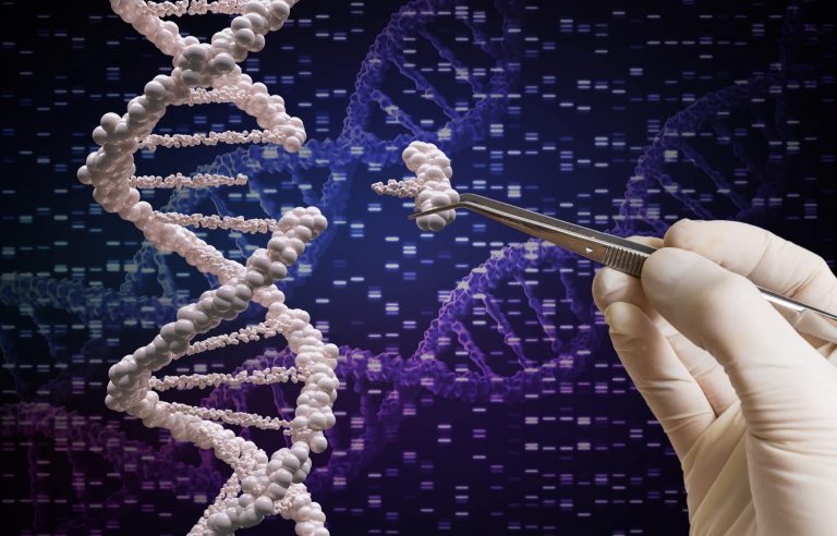 Geneticky modifikované děti, které vytvořil čínský vědec, budou mít podle všeho lepší paměť i vyšší inteligenci. Vědci se obávají zneužití technologie